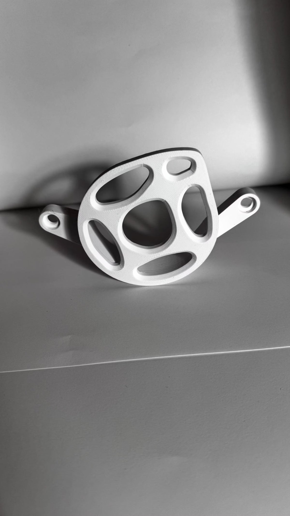 Surron Lbx Motor cover